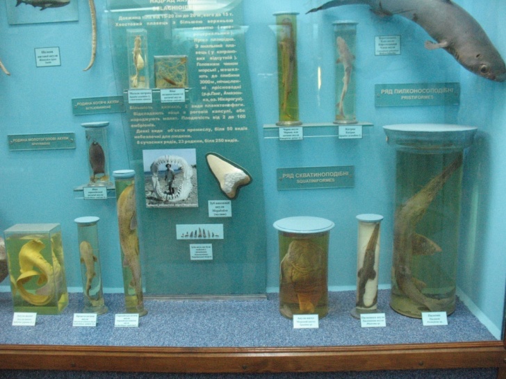 Музей природы в Харькове