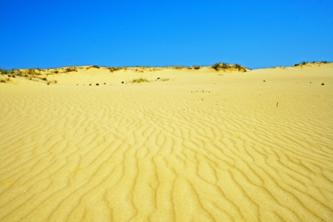 Алешковские пески в 30 километрах от Херсона