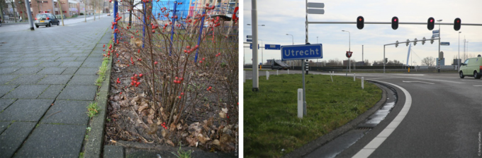 Нидерланды: клумбы на тротуарах и газоны на шоссе.
