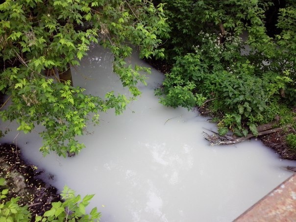Предприятия превратили речку Роганка в «молочную», сбрасывая в нее химикаты, июнь 2015 года.