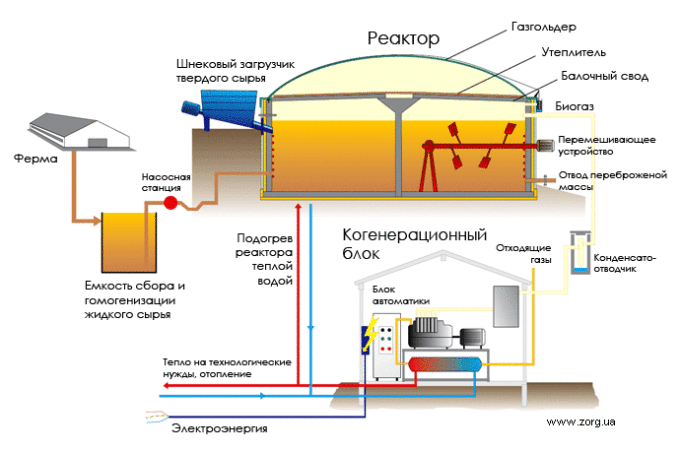 Процесс превращения биомассы в биогаз. Схема: I.Aksyutov - www.zorg.ua