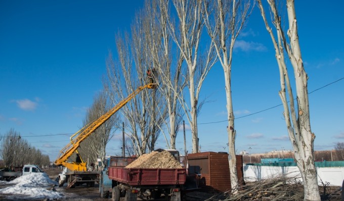 Кронирование деревьев. Фото: пресс-служба Харьковского городского совета.