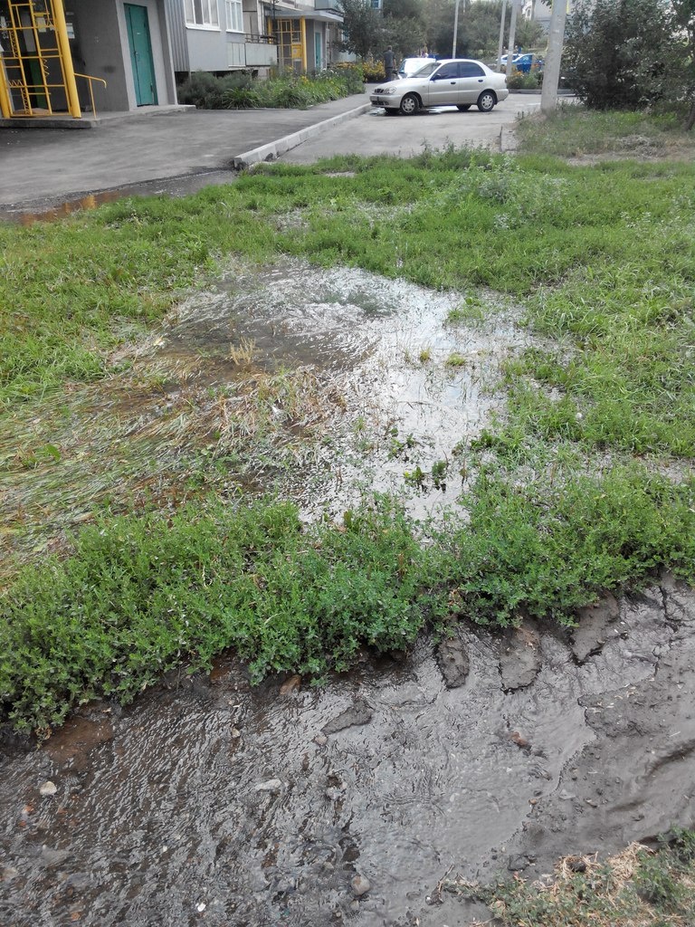 В Харькове вода бьет из-под земли и активно затапливает район (видео)