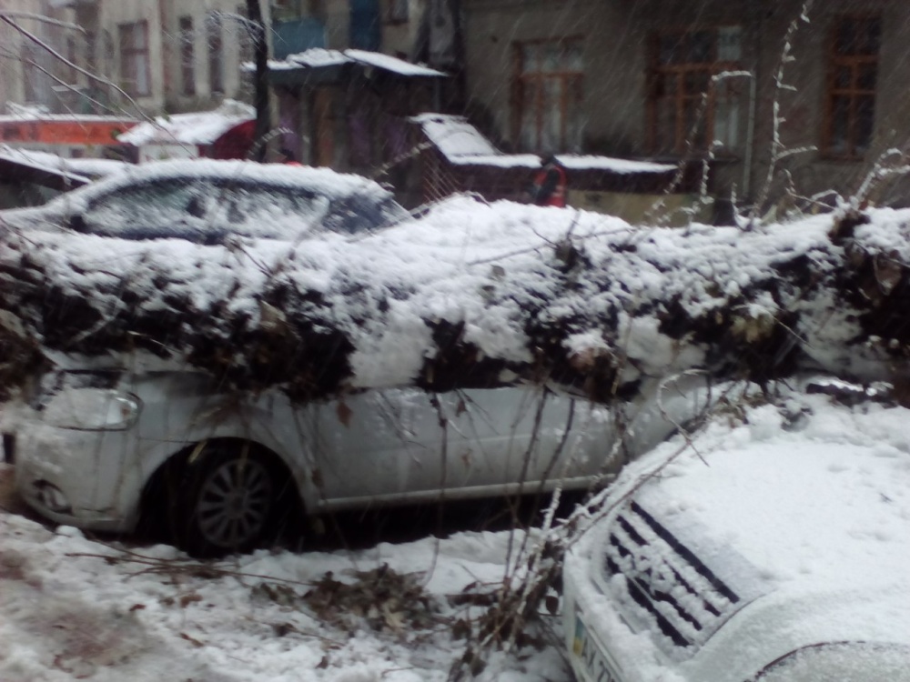 Упавшие деревья и разбитые машины: последствия непогоды в Харькове