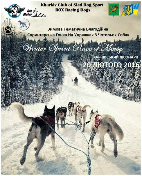 благотворительность