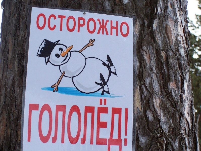 школьники