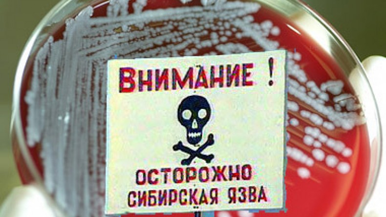 эпидемия