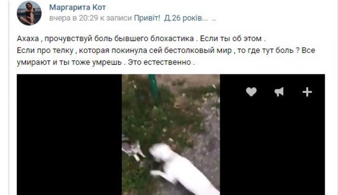 Бультерьера харьковской живодерки поселили в «Центе обращения с животными»