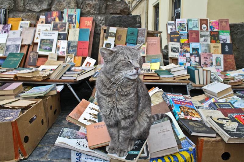 Известные места Харькова: книжный рынок “Балка”