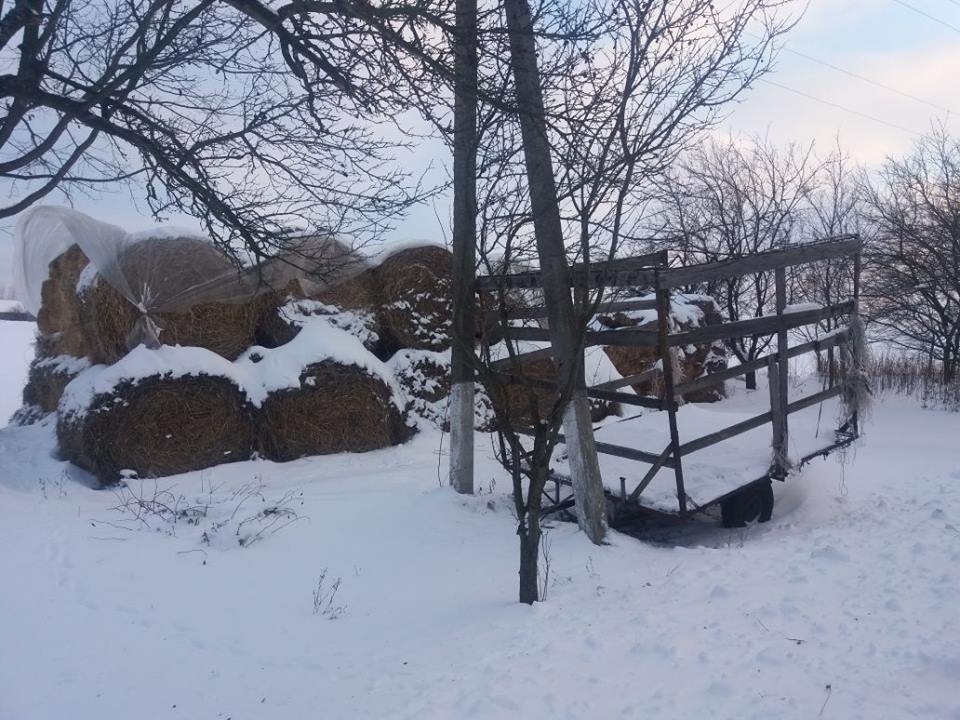 В Харьковской области мать бросила двухмесячного ребенка в стоге сена
