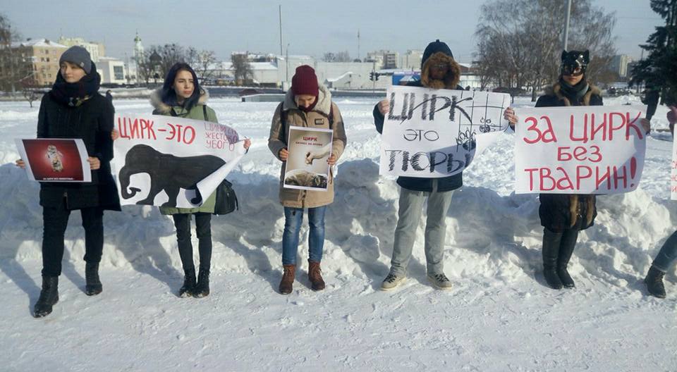 Протест в Харькове: за цирк без эксплуатации животных (видео)
