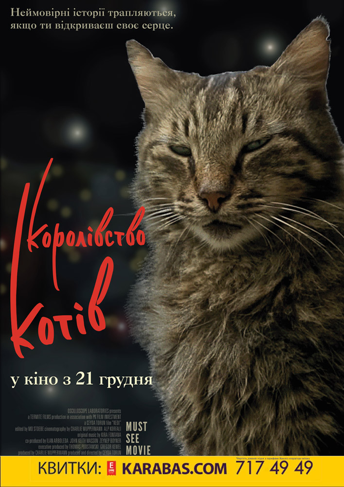 Королівство котів Харьков
