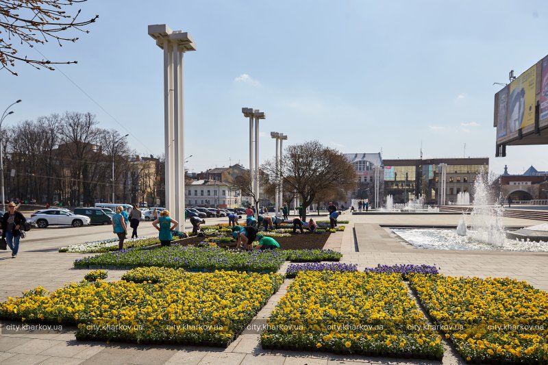 Около 16 тысяч цветов высадят возле ХНАТОБа