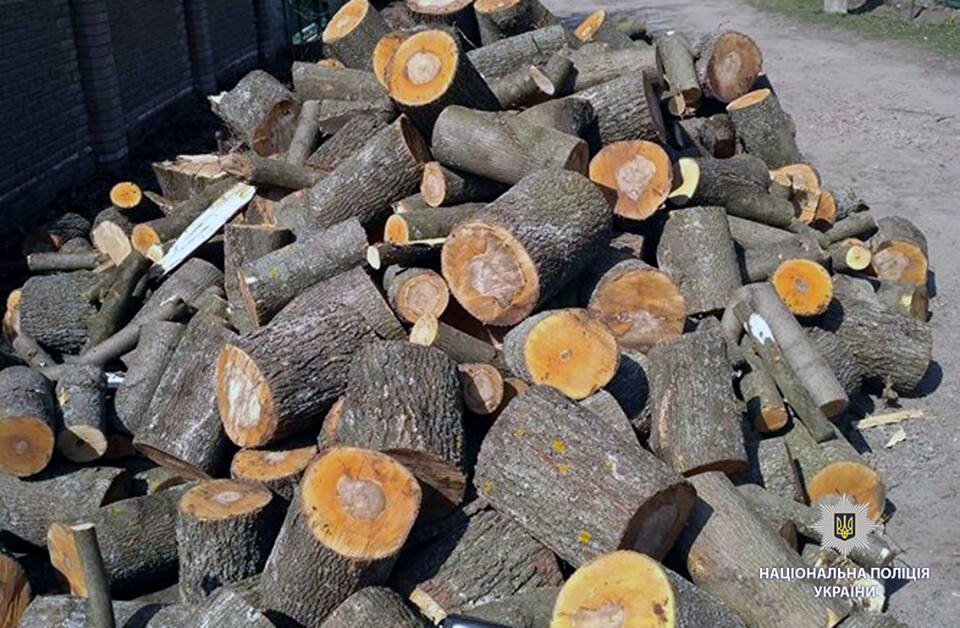 На Харьковщине мужчина нанес природе ущерба почти на 100 тысяч гривен
