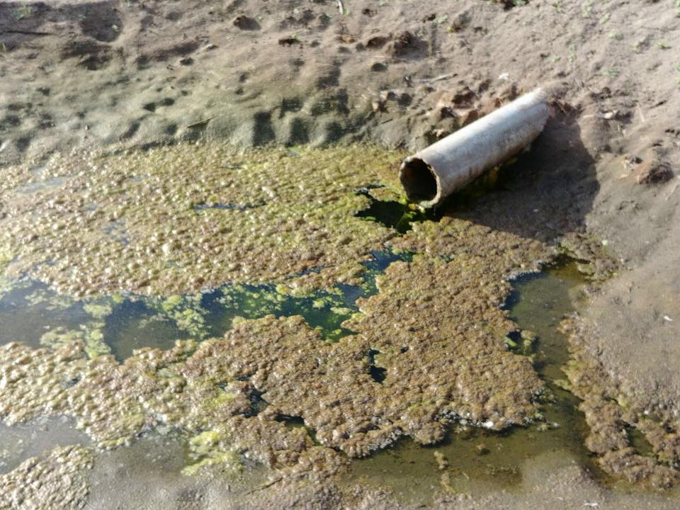 Курортная жемчужина Харьковской области превращается в место техногенной катастрофы – советник губернатора
