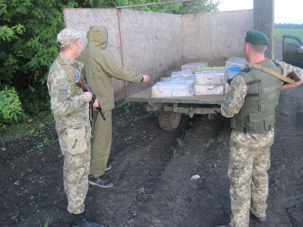 В Харьковской области у российско-украинской границы задержали автомобиль с центнером рыбы (фото)