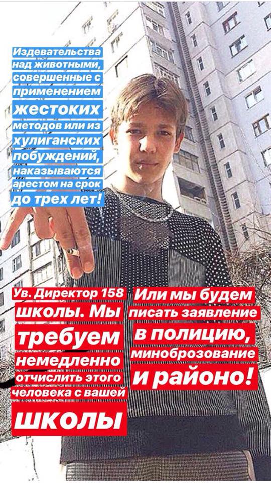 Харьковчан возмутил школьник, который для видео в соцсетях убил голубя (видео)