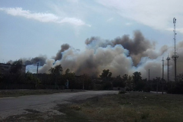 Спасатели ликвидировали масштабный лесной пожар в Красноградском лесничестве