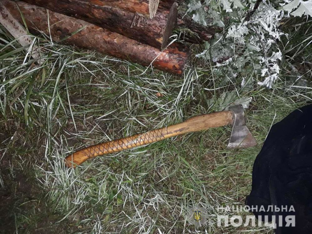 В Харьковской области пьяный мужчина едва не убил сожительницу и ее мать