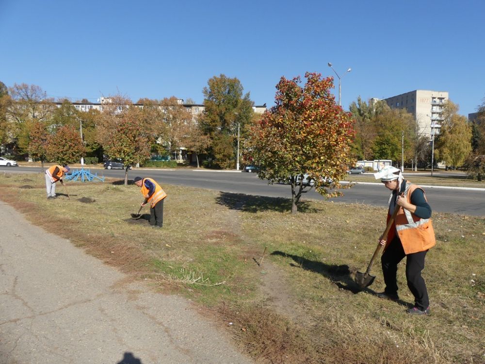 В городе на Харьковщине высадили саженцы для аллеи сакур (фото)