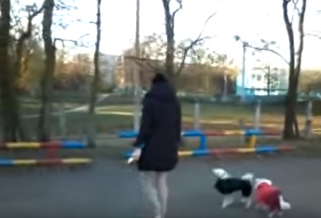 В Харькове на замечание не выгуливать собак на территории школы, ответили кулаками (видео)