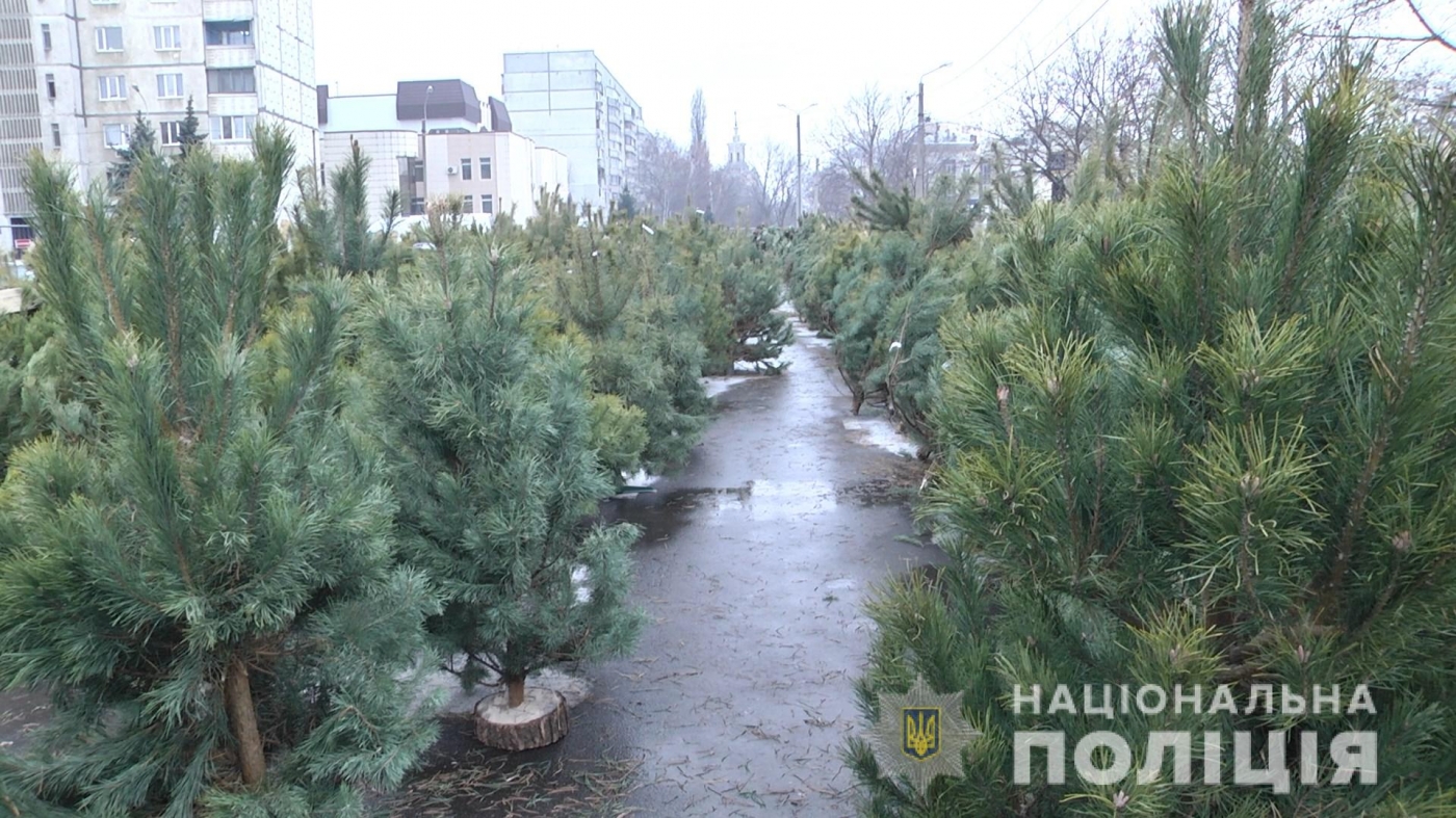 На харьковских рынках проверяют законность торговли елками