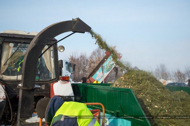 В Харькове после праздников собирают и утилизируют елки