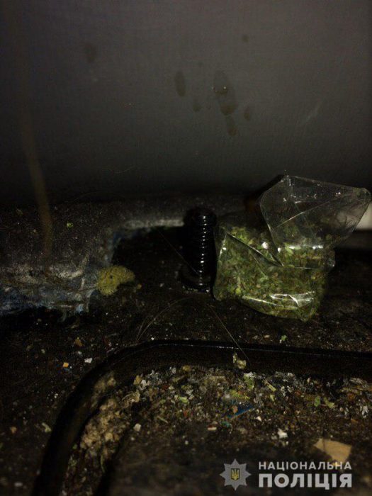 В Харькове служебная собака во время осмотра автомобиля обнаружил наркотические вещества