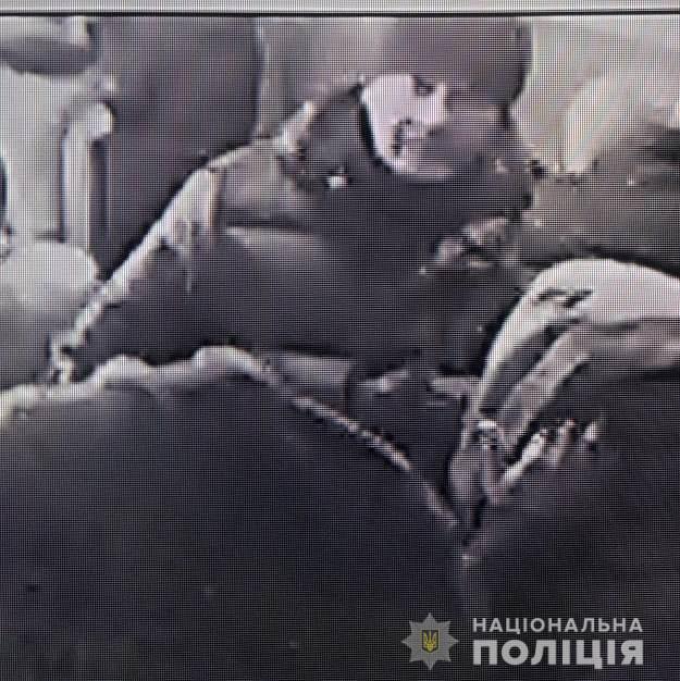 Убийство девочки под Харьковом: неизвестный мужчина продал телефон погибшей