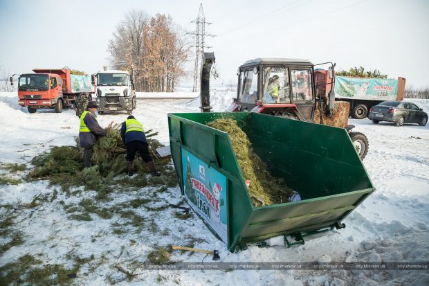 В Харькове после праздников собирают и утилизируют елки