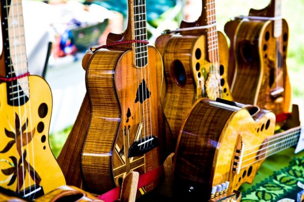 Основные разновидности гавайской гитары