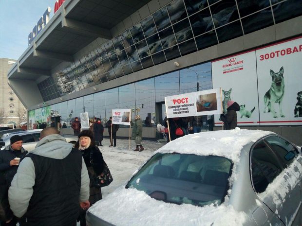 В харьковском супермаркете травмировало женщину: люди вышли на акцию протеста