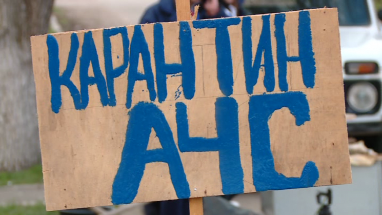 На Салтовке на стихийной свалке нашли трупы свиней, инфицированных чумой