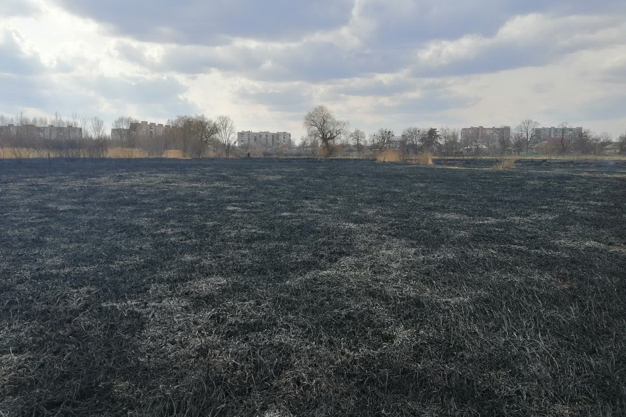 В Харькове сухая трава полыхала на площади 1000 м² (фото)