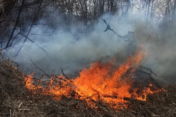 В Харькове из-за большого пожар камыша сгорела хозяйственная постройка