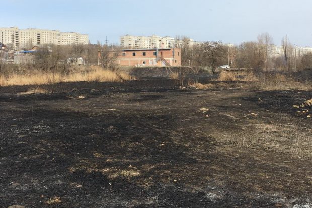 В Харькове из-за большого пожар камыша сгорела хозяйственная постройка