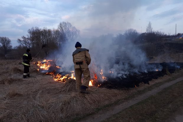 На Харьковщине 86 пожаров нанесли вред окружающей среде, повредили 8 застроек и забрали человеческую жизнь