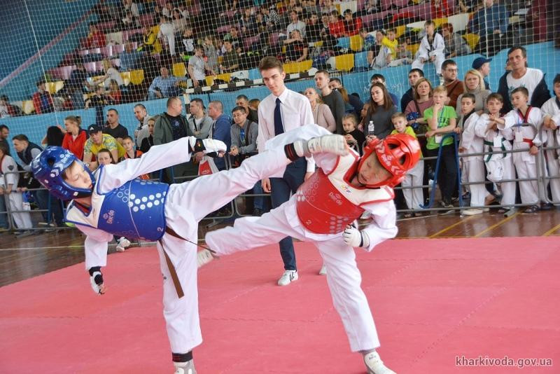 В Харькове состоялся всеукраинский турнир по тхэквондо