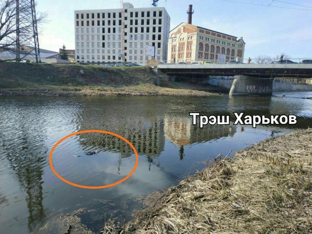 В реке в центре Харькова нашли тело молодой женщины