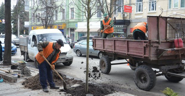 В городе высадили 23 тысячи деревьев