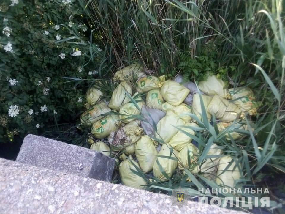 В Харьковской области на берегу водохранилища обнаружено туши кур