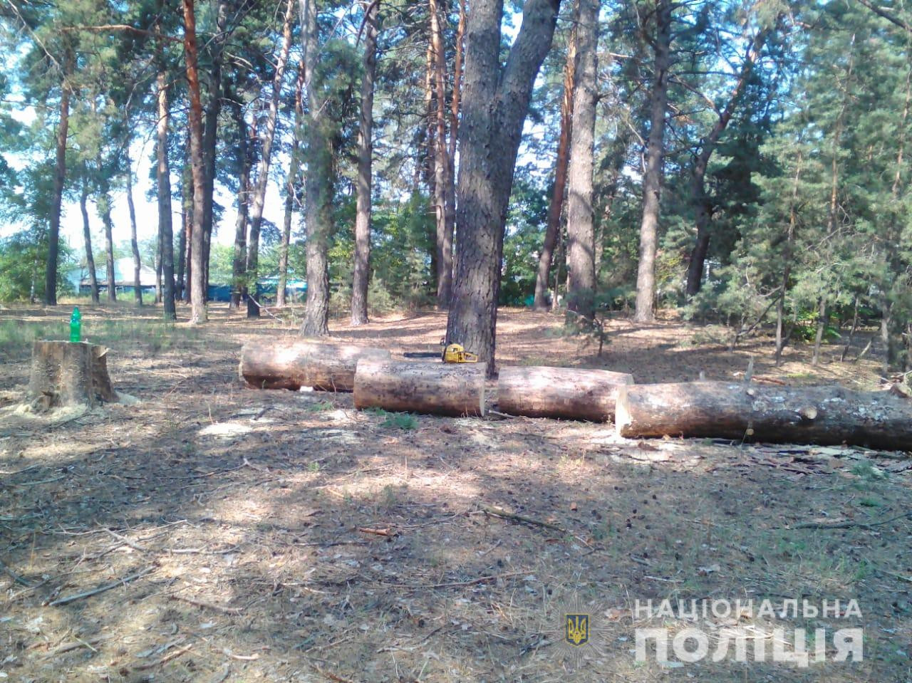 В Харьковском районе полицейские задержали троих мужчин за незаконную вырубку леса