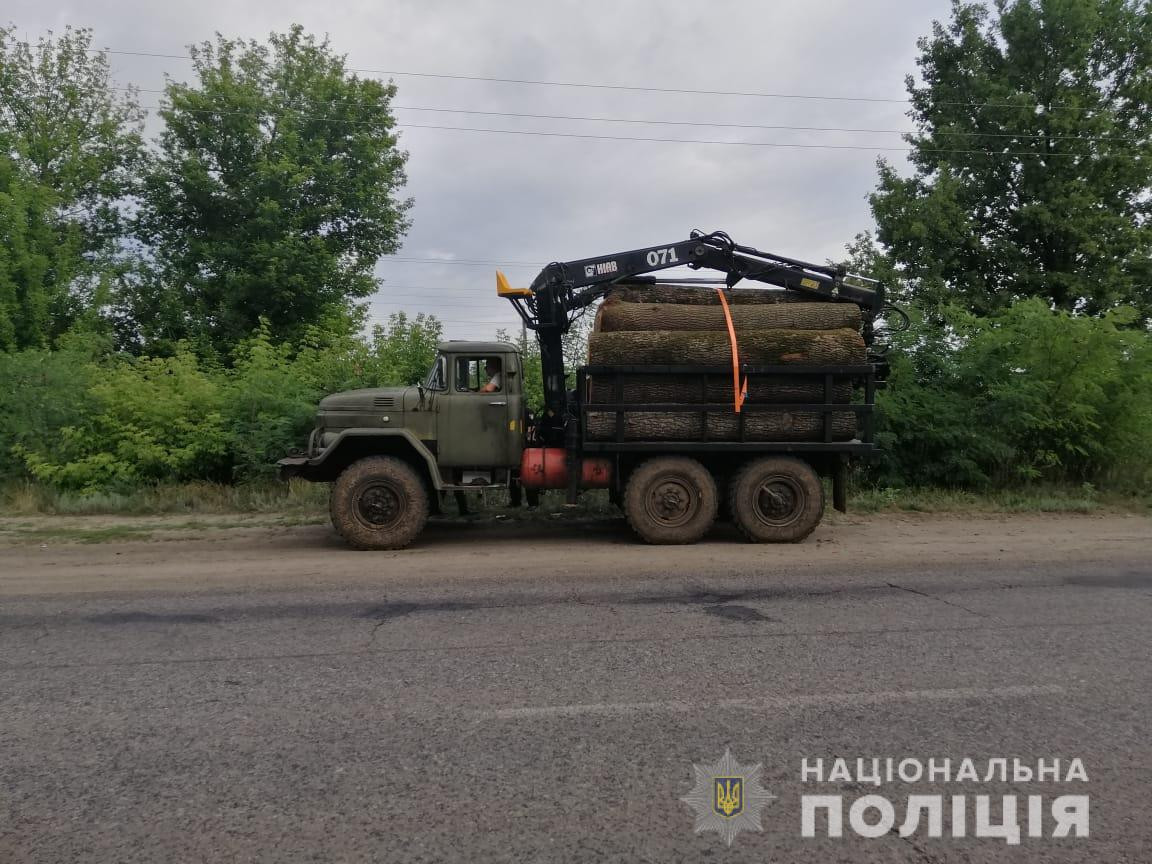 За три дня на Харьковщине трижды незаконно рубили лес