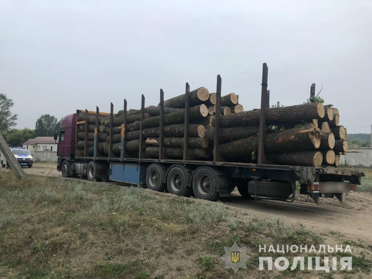Полиция Харькова опровергает заявления активистов относительно бездеятельности в расследовании фактов незаконной вырубки лесов (видео)