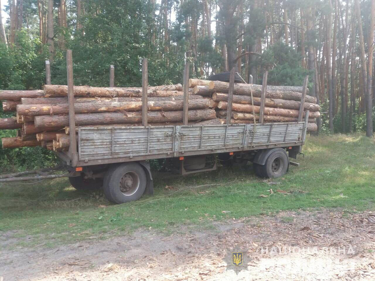 В Харьковской области полицейские задержали мужчин за незаконную вырубку леса