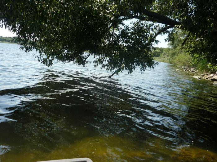На Харьковщине обнаружили антиген гепатита в водохранилище