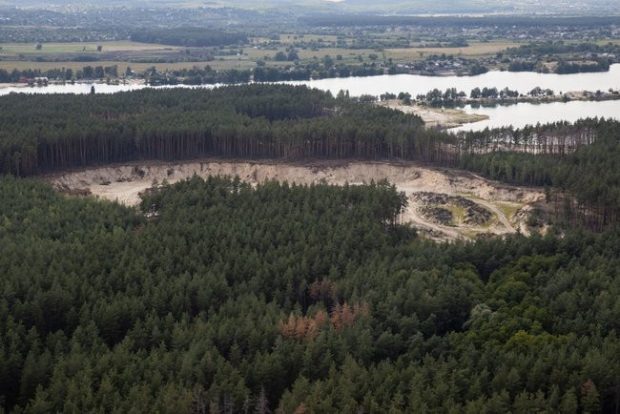 Вырубка леса в Харьковской области