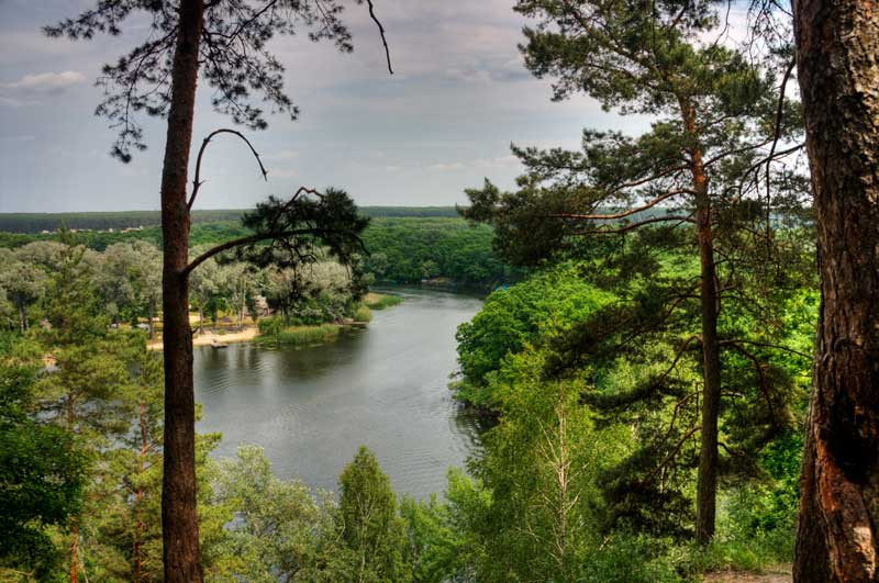 Семь самых ценных лесов Харьковщины