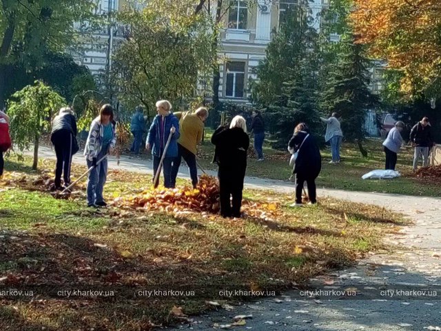 Скверы «Стрелка», Героев Небесной Сотни и Гимназическую набережную очистили от листвы