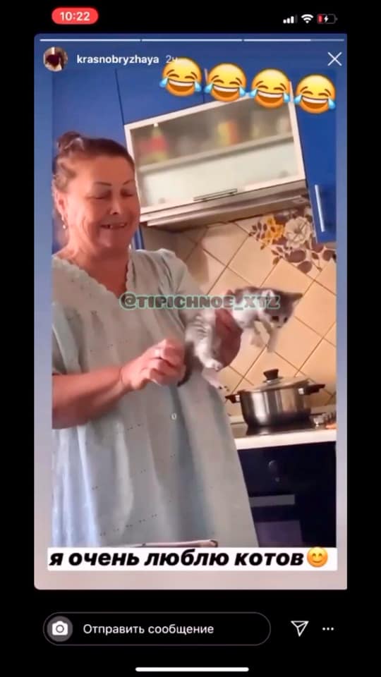 В Харькове женщина издевалась над котенком на камеру: полиция открыла уголовное дело